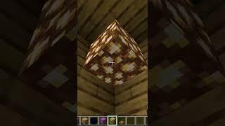 Minecraft Secret Room #minecraft #shorts #ytshorts