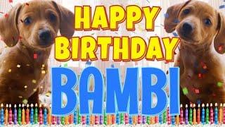 Happy Birthday Bambi! ( Funny Talking Dogs ) What Is Free On My Birthday