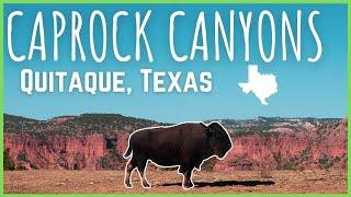 Caprock Canyons | Texas State Parks