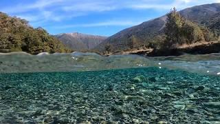 Epic Fly Fishing Adventure on PRISTINE New Zealand River