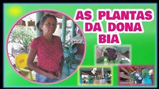 AS PLANTAS DA DONA BIA | O poder de transformar