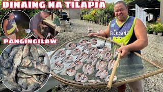 NANGILAW NG TILAPIA | GUMAWA KAMI NG DAING NA TILAPIA