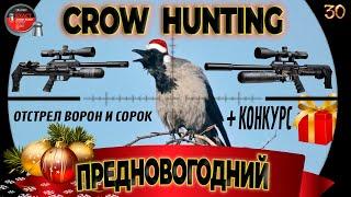 Предновогодняя Охота на Ворону с FX Impact M3/ №30. AIR GUN HUNTING 2023. Кроухантинг. Jack Hunter.