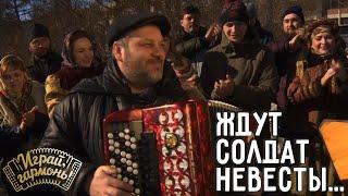 Ждут солдат невесты... | Алексей Лопатин (г. Кемерово) | Играй, гармонь! | @igraygarmon