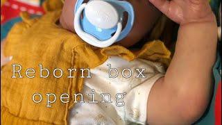 Распаковка куклы реборн(молд Майк)Reborn box opening