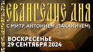 Толкование Евангелия с митр. Антонием (Паканичем). Воскресенье. 29 сентября 2024 года.