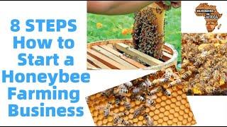 8 STEPS How to Start a Honeybee Farming (Beekeeping) Business | best small business ideas in africa