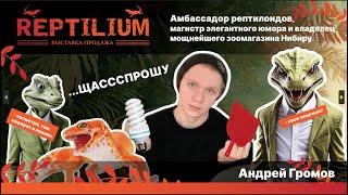 #Щассспрошу с Андрей Громов