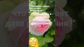 "Твоя любовь в цифрах: что скрывает дата рождения?" / Эзотерика Гороскоп Астрология Знаки Зодиака