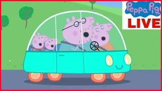  LIVE | Nonstop Peppa Pig Livestream - Join the Fun 24/7!  |