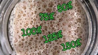 Starter Hydration Timelapse | How hydration affects dough growth | Foodgeek