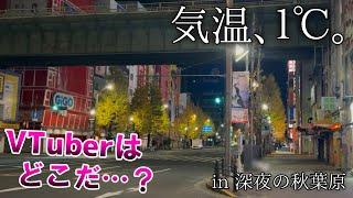 深夜の秋葉原にVTuberを求めて徘徊する動画