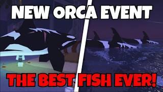 How To Catch NEW ORCA IN FISCH! | Roblox Fisch