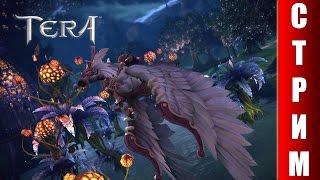 СТРИМ TERA Online - Смотрим сегодняшнюю обнову