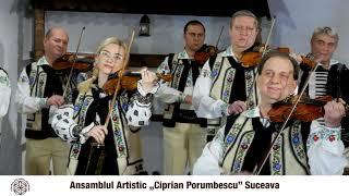 Ansamblul Artistic „Ciprian Porumbescu” - Suită de orchestră „Plaiuri românești”