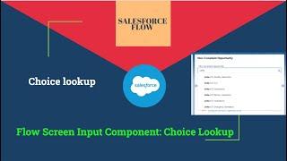 24.How to Series | Salesforce Flow | Filter records using Choice lookup