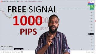 The Best FREE Forex Signals Series  2024