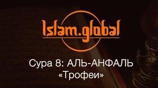 Сура 8: "Аль-Анфаль" (Трофеи)