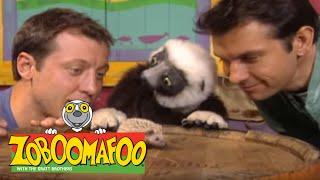 Zoboomafoo 210 - Families Game (Full Episode)