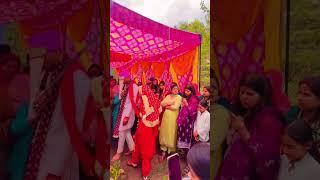 pahadi marriage video #marriageshort #viraldogrishort #dogrifolksong #dogrigeet
