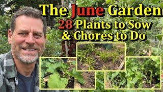 28 Vegetable Plants to Sow in June & Garden Chores to Do (Direct Seed Vegetables)