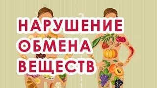 Нарушение обмена веществ. Что это такое? Как нормализовать его?