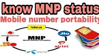 Check MNP / Mobile number portability status online