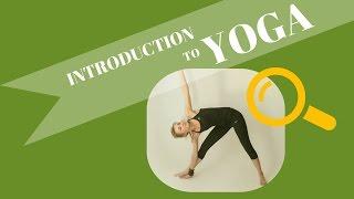 Yoga introduction - Yoga basic principle. What is Yoga? How to practice? Yoga basics for beginners.