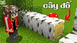 "TÍNH NĂNG MỚI" Được Thêm Vào Minecraft 1.21.5