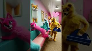 Fluffy Keeps Teasing the Dancing Teacher! She’s Mad Now