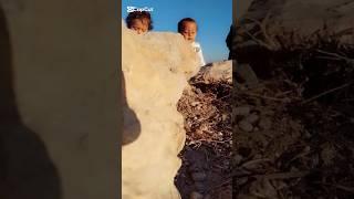 Cute baby #shorts #shortsviral #youtubeshorts #youtube #fyp #shehbaztwins