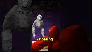 The Player that Doesn’t Exist.. #gorillatag