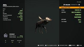 Великий Лось в theHunter Call of the Wild™