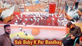 Sab Baby Pigeons K Par Bandh Diyae | Training Start | Hashim Mahmood Pigeons