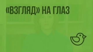 «Взгляд» на глаз. Видеоурок по окружающему миру 4  класс