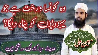 yahudio ko pana deny wala darakht/Molana mubeen Ali Qadri/M.ahmad613#islam #youtube #virlyoutube