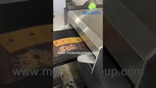 McLantis Flexo Plate Cleaning Machine