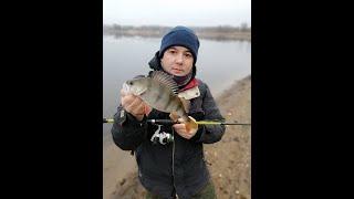 Озернинское водохранилище  Окунь