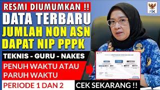 RESMI DATA TERBARU JUMLAH NON ASN DAPAT NIP PPPK 2024 PENUH WAKTU DAN PARUH WAKTU - CEK SEKARANG !!