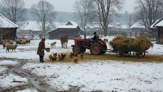 How do people live in remote Transylvanian villages? Maramures countryside