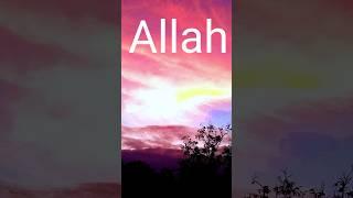 #shortvideo #youtubeshorts #viral  youtube new shorts video #allah