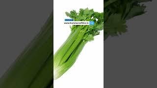 Celery Is Highly Beneficial In Increasing Your Sex Drive |  Hammer of Thor Capsule