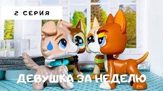 LPS НОВЫЙ Спор На Любовь (2 серия) "Девушка За Неделю? Легко!"