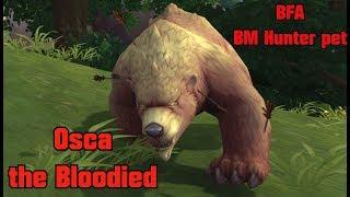 WoW Battle for Azeroth - BM Hunter - Osca the Bloodied tameable pet