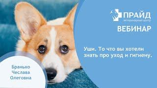 Уши. То что вы хотели знать про уход и гигиену. Ошибки