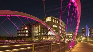 Austin Central Library and The Butterfly Bridge