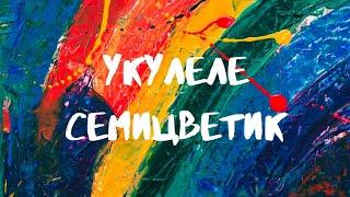 УКУЛЕЛЕ Семицветик #7