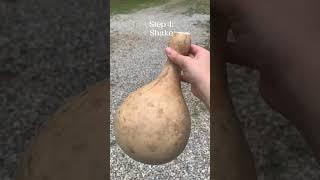 How I Make Gourd Bottles #bottlegourd #outdoorskills #ancienttools #survivalskills #bushcraft #water