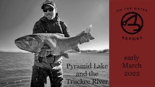 On-the-Water Report | Pyramid Lake and the Truckee River | early March 2022