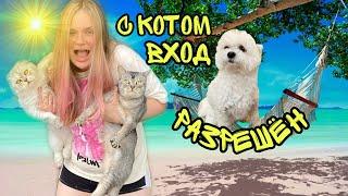 24 ЧАСА НА ПЛЯЖЕ С КОТОМ КЕВИНОМ ВЫЖИВАЕМ В ЖАРУ | ЗОЯ ВСЁ ИСПОРТИЛА!